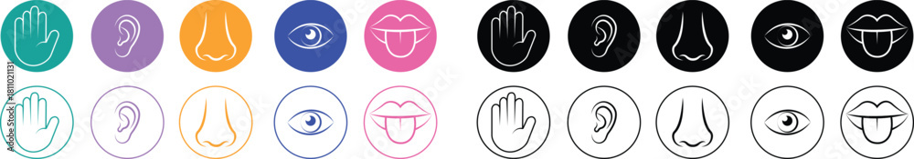 Obraz premium Five senses icon set collection group with touch hand, hearing ear, smell nose, vision eye, taste mouth symbols in flat and line style outline minimal vector design on transparent background