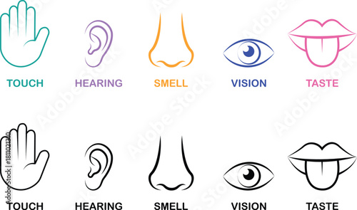 Five senses icon set collection group with touch hand, hearing ear, smell nose, vision eye, taste mouth symbols in flat and line style outline minimal vector design on transparent background