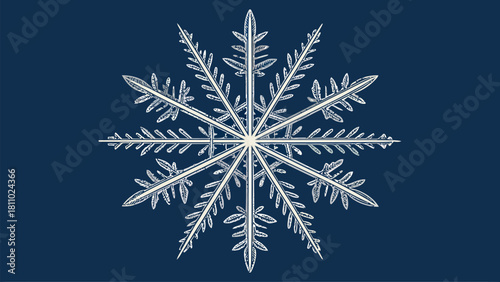Delicate snowflake pattern, perfect for winter holiday cards and seasonal designs, adding a touch of frosty elegance to your creative projects this year