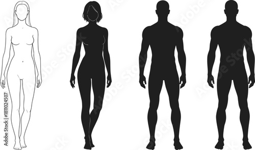 Human body outline set, male female silhouettes, anatomical figure styles, character design reference, gender comparison art, line and shape study