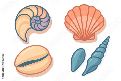 Colorful collection of diverse marine seashells including nautilus scallop and cowrie