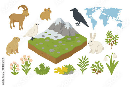 Mountain landscape with alpine ecosystem flora and fauna outline