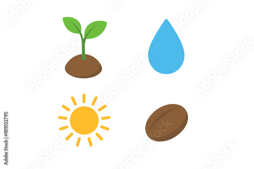 Coffee bean growth cycle elements sun water sprout and seed icons
