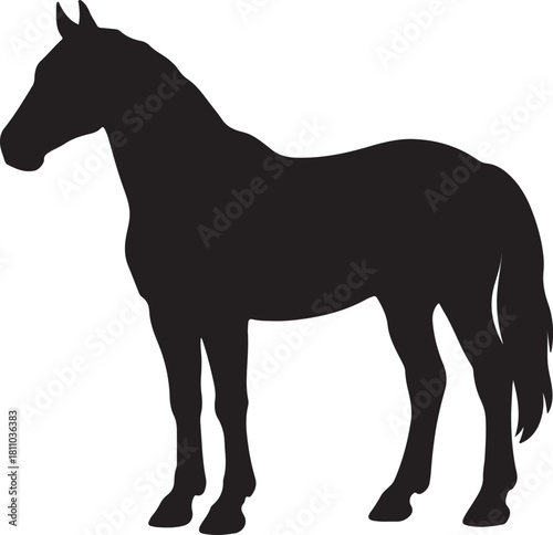 Silhouette of a horse isolated on white background