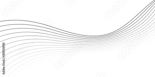 Abstract Lines black white, curved thin lines, graphic element for modern background design, use for wallpaper or web design, flowing graphic