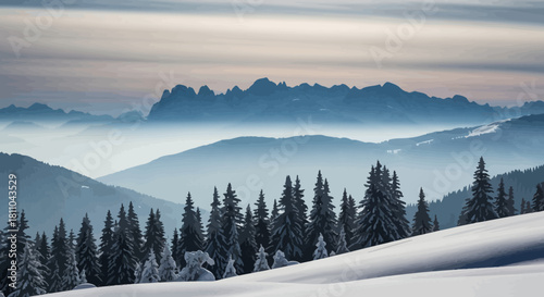 Snow-covered pine trees in the foreground with misty mountain layers fading into the distance under a hazy sky.