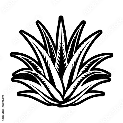 Aloe Symbol