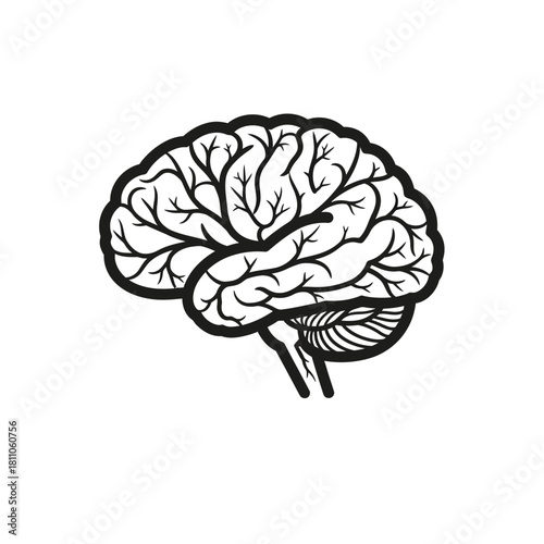 Brain vector art