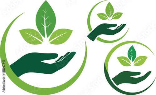 Hand holding leaves represents growth sustainability and environmental stewardship
