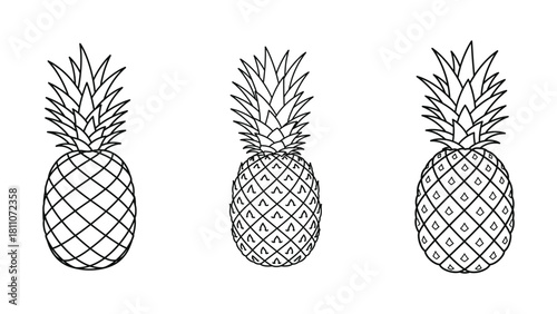 Three hand drawn black and white pineapples displayed vertically in a row
