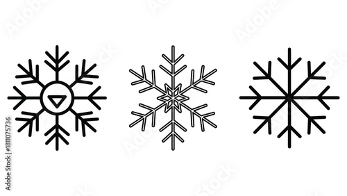 Three distinct black and white snowflake icons with intricate geometric designs