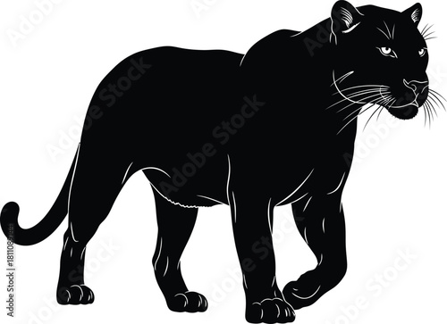 Black panther vector illustration wildlife animal predator silhouette eps