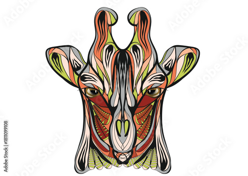 ethnic giraffe