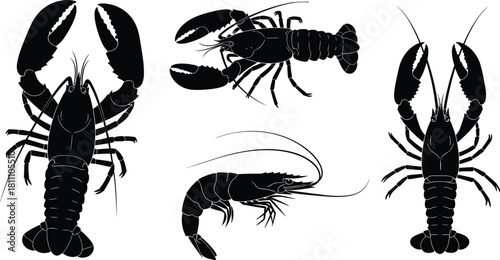 Collection of Seafood Crustaceans, Including Crayfish and Prawns, Representing Marine Life and Gourmet Food Vector.