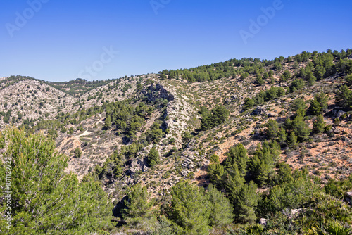 Photography Mountain view at a shrubland on a mountainside a sunny summer day