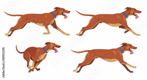 Four illustrations of a brown dog in various running poses, each wearing a blue collar and panting.