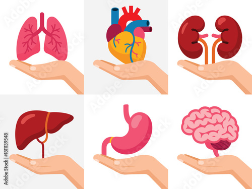 Human organs held in open hands medical illustration set