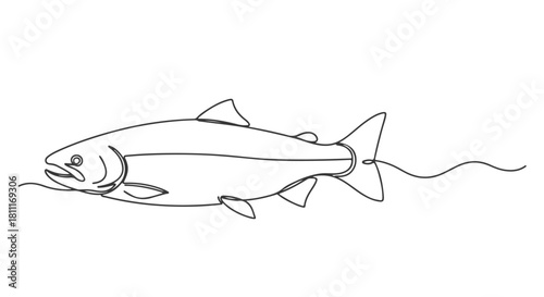Elegant single line continuous drawing of a salmon fish swimming, perfect for fishing industry design, marine life education, or branding
