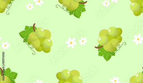 Green grape seamless pattern Fruit background.