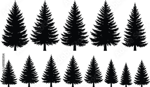 Pine tree silhouette collection, black fir and spruce evergreen set for forest nature landscape, isolated vector illustration