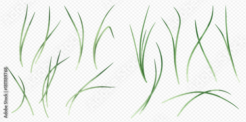 Illustration of several blades of green grass on a transparent background.