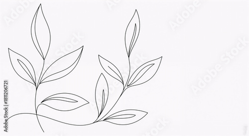 Two curved branches with simple, elongated leaves placed evenly along the stem, illustrated in a clean minimalist line style