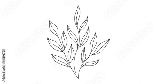 A leafy branch with long, elegant leaves arranged in alternating positions, drawn in clean, minimal outline strokes.