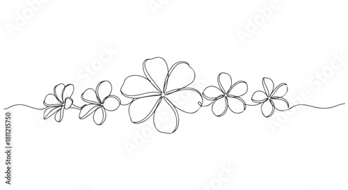 Elegant and minimalist single line continuous drawing of multiple abstract flowers, perfect for delicate graphic design elements and modern illustrations