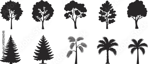 Collection of ten vector tree silhouettes, black nature icons featuring deciduous, pine, fir, and palm plants isolated on white for landscape design, forest ecology, graphics.