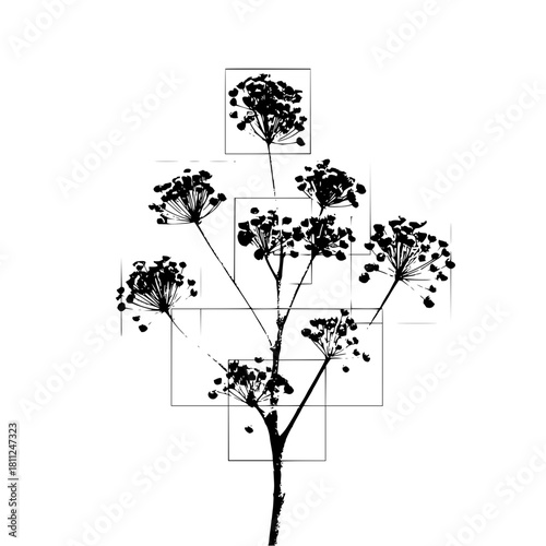Black and white botanical illustration of a plant with flower heads in a modern square design art print