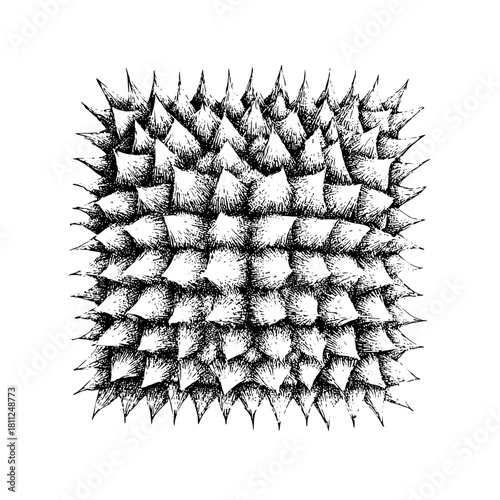Detailed black and white drawing of spiky texture pattern for graphic design and artistic backgrounds usage