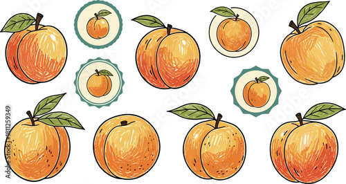 Vintage Crayon Peach and Apricot Fruit Labels.