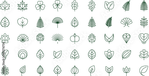 Extensive collection of 42 diverse leaf icons in a continuous dark green outline style, representing different botanical species, nature, and organic elements.