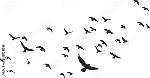 A collection of various sized black bird silhouettes are scattered across a white background, appearing to fly.