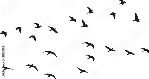 A collection of various sized black bird silhouettes are scattered across a white background, appearing to fly.