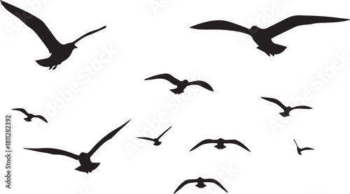 A collection of various sized black bird silhouettes are scattered across a white background, appearing to fly.