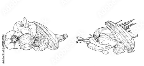 Zucchini and onions, peppers and herbs. Vector illustration. Farm vegetables, compositions on a white background. Cuisine, restaurants, farmers' markets, cookbooks, and menus.
