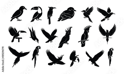 Vector parrot silhouettes of amazon jungle isolated on white background