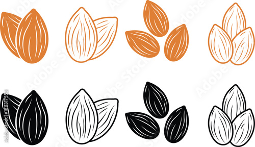 Hand drawn almond set vector nuts Illustration on transparent background.