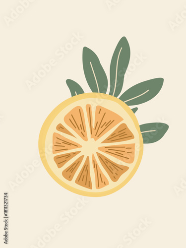 simple citrus fruit slices vector illustration natural design
