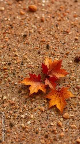 Granite Dust Speckle