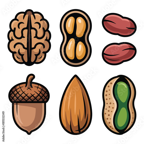 High-Quality Cartoon Nut Characters Bundle Walnut Brain Almond Peanut Acorn Pistachio Vector Art
