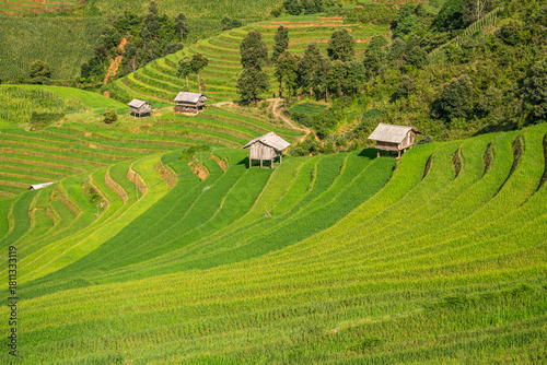 Rice fields on terraces of Mu Cang Chai, Vietnam.