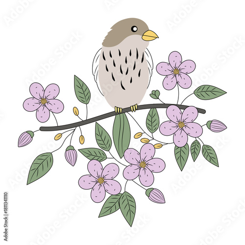 A vintage style illustration showing bird