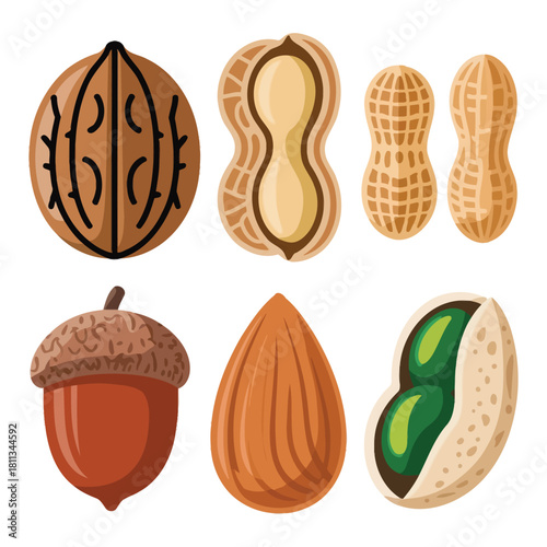 Adorable Nut and Seed Icons Set Walnut Peanut Hazelnut Acorn Pistachio Perfect for Healthy Food Projects