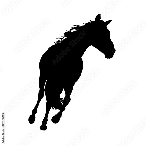走る馬のシルエット