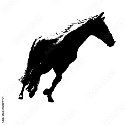 走る馬のシルエット