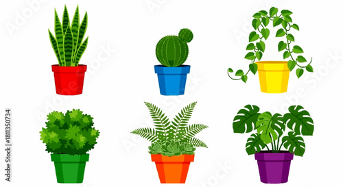 Six potted houseplants, including a snake plant, cactus, vine, shrub, fern, and monstera, displayed in colorful pots against a white background.