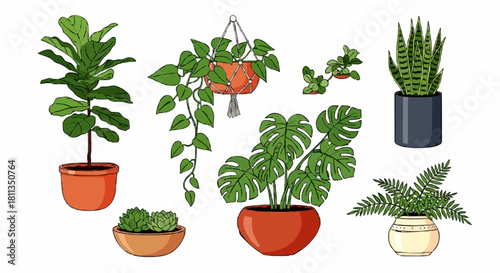 A colorful illustrated collection of popular indoor houseplants in various pots and a hanging basket on a white background.