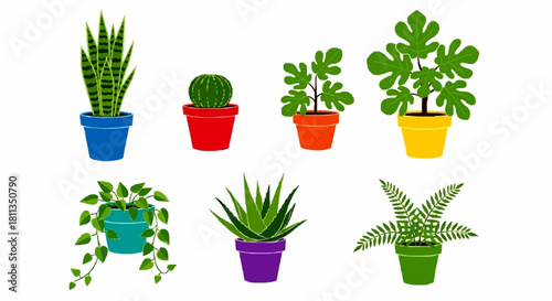 A vibrant collection of seven different illustrated houseplants in colorful pots against a white background.